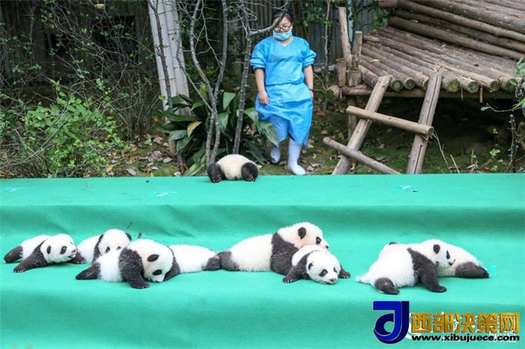 1506670528758219.jpg 1.jpg