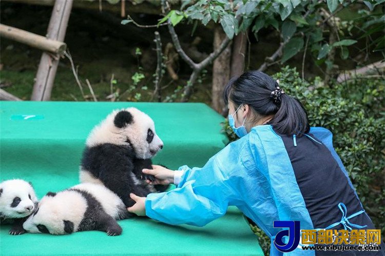 1506670743101060.jpg 6.jpg