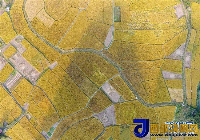 1509675534749441.jpg 1509675534749441.jpg