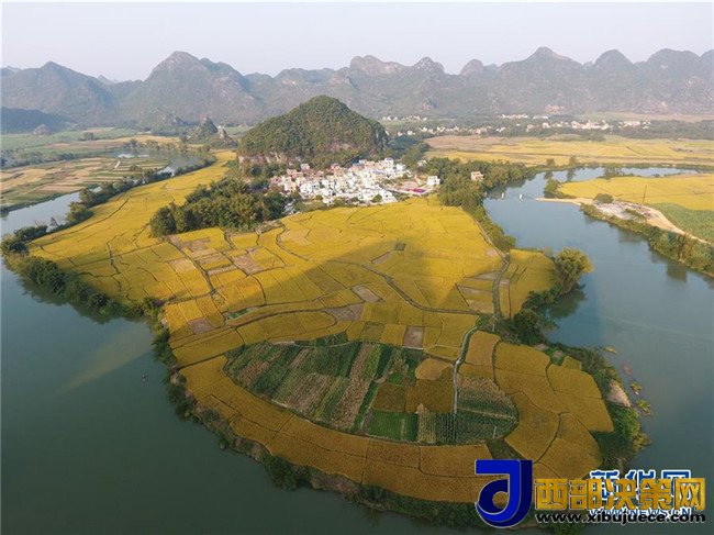 1509675548801682.jpg 7.jpg