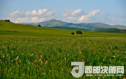錫林郭勒草原。吳勇攝