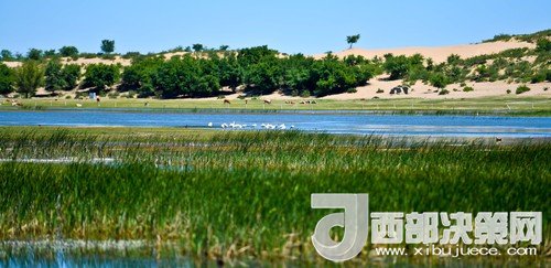 阿魯科爾沁保護區(qū)濕地沙丘。吳勇攝