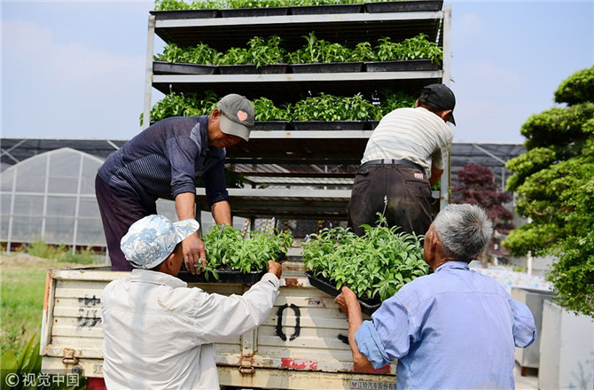 數(shù)字經(jīng)濟(jì)已經(jīng)成為我國(guó)經(jīng)濟(jì)社會(huì)更好發(fā)展的重要推動(dòng)力，也為我國(guó)鄉(xiāng)村發(fā)展提供了新的歷史機(jī)遇。（圖片來源：視覺中國(guó)）