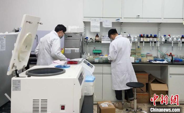 甘肅新冠肺炎輔助鑒別篩查系統(tǒng)上線:“智尋”潛在患者