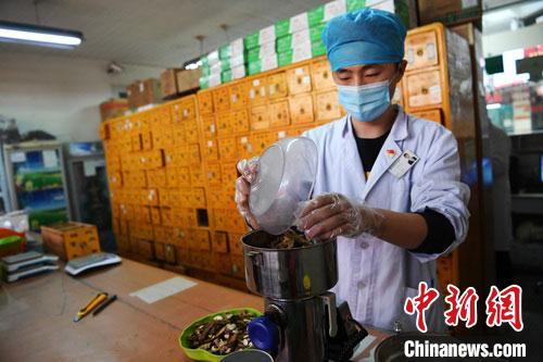 疫情發(fā)生以來，甘肅確保所有病例盡早、及時(shí)、全程使用中醫(yī)中藥，努力做到“一患一方案”。(資料圖) 楊艷敏 攝