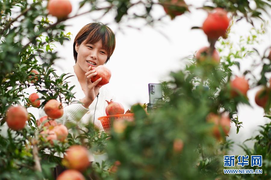 (新華全媒頭條·圖文互動(dòng))(12)流動(dòng)中國(guó)折射復(fù)蘇新氣象——透視“十一”黃金周