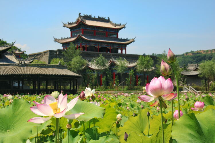 【云游渭南】心中若有桃花源，此處便是水云間！待疫情散盡，一起來(lái)渭南桃花源賞美景、觀民俗、享美食_fororder_2